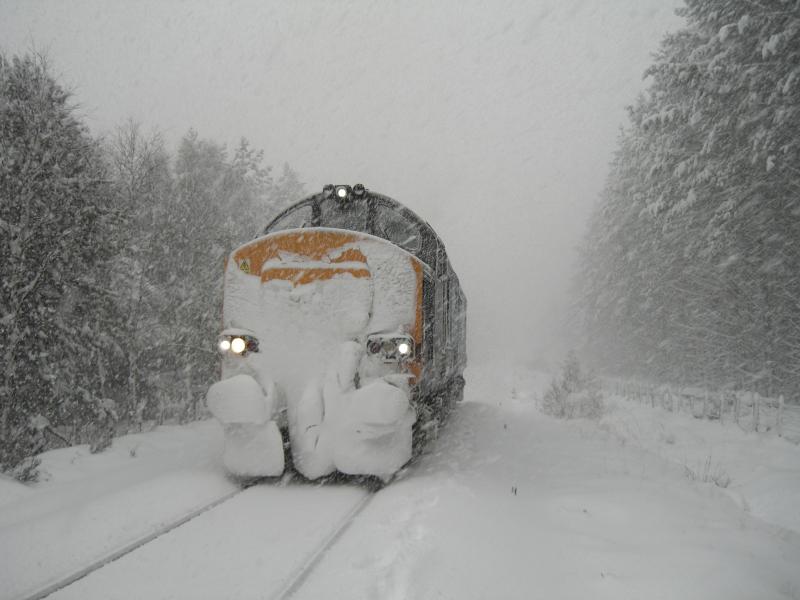 37423 near Tomatin: 37423 working 1z99 near Tomatin while the PWAY deal with a tree. Photo of 37423 near Tomatin