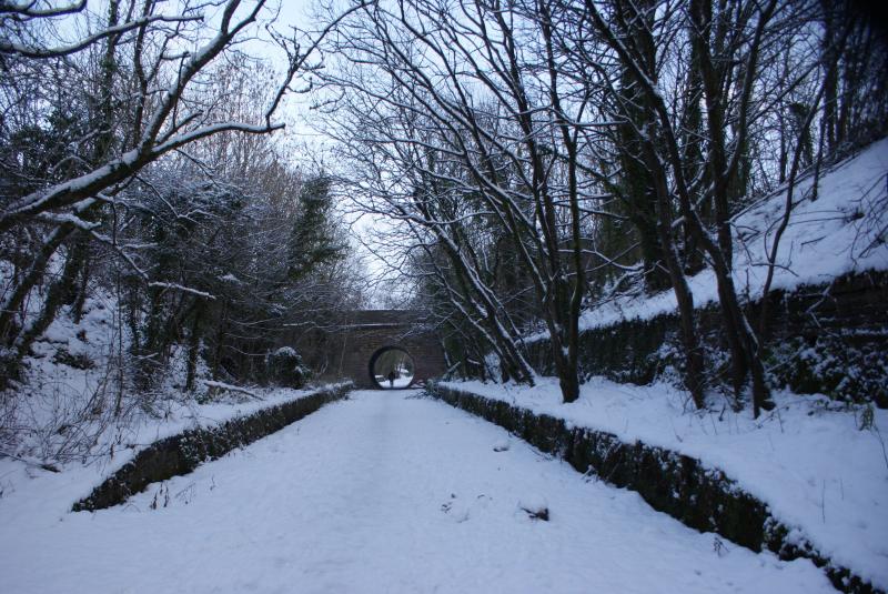 Photo of Former Milton of Campsie Station