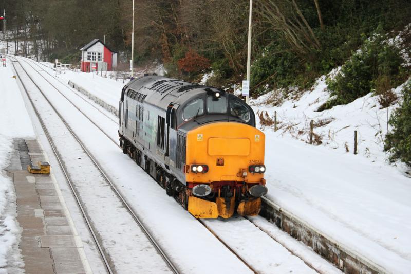 37423 at Dunkeld & Birnam Station: 0Z37 Grangemouth - Inverness Light engine move for snowplough duties passing through Dunkeld & Birnam Station on 4/01/11 Photo of 37423 at Dunkeld & Birnam Station