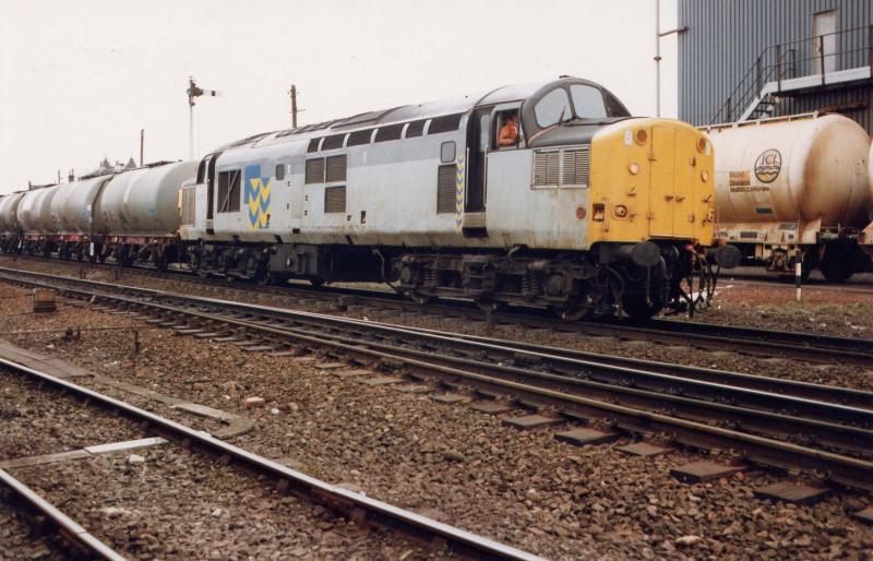 37100 arrives at Larbert with tanks for rounding.: 37100 arrives at Larbert with tanks for rounding. Photo of 37100 arrives at Larbert with tanks for rounding.