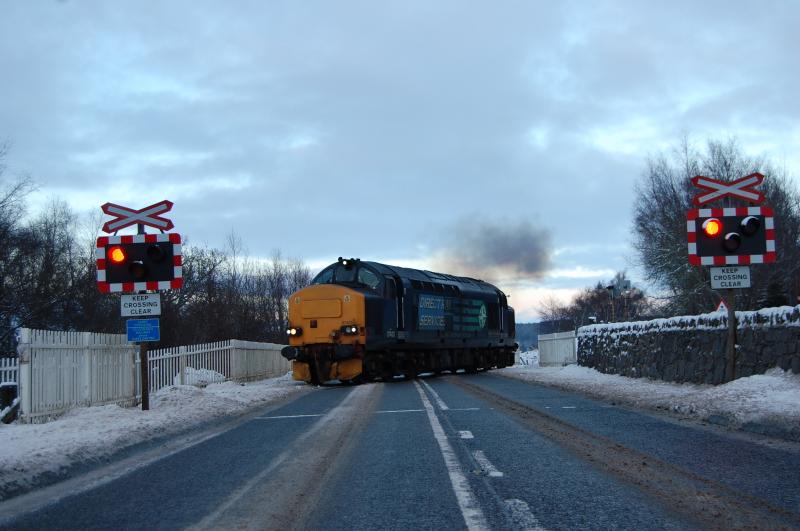 37423 Spirit of the Lakes: 37423 crossing road at Lairg 8/1/11 Photo of 37423 Spirit of the Lakes