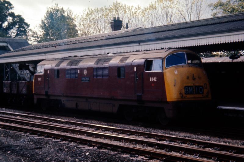 Warship on Freight: D842 Royal Oak on a class 8 freight at Princes Risborough 7 October 1968 Photo of Warship on Freight