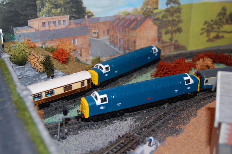 Deltics by the Brewery: A view of 55003 & 55015 passing the brewery area on my layout - Elmgrove. These locos were resprayed & renumbered by R3SPRAYS. Photo of Deltics by the Brewery