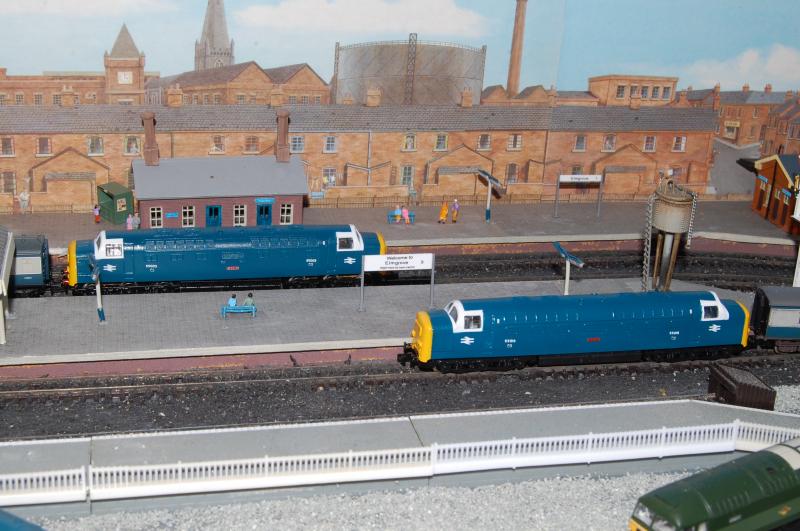 Elmgrove Deltics: A view of 55003 & 55015 passing through Elmgrove station on my layout - Elmgrove. These locos were resprayed & renumbered by R3SPRAYS. Photo of Elmgrove Deltics