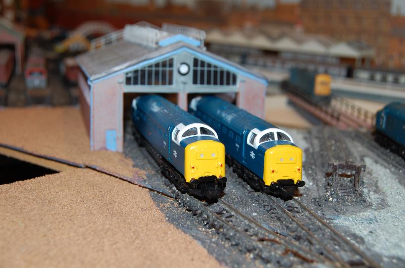FP in N gauge?: A view of 55003 & 55015 sitting on shed on my layout - Elmgrove. These locos were resprayed & renumbered by R3SPRAYS. Photo of FP in N gauge?
