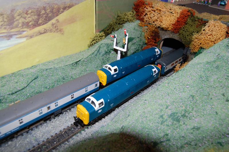 Deltics at the tunnel: A view of 55003 & 55015 passing at the entrance to graveyard tunnel on my layout - Elmgrove. These locos were resprayed & renumbered by R3SPRAYS. Photo of Deltics at the tunnel