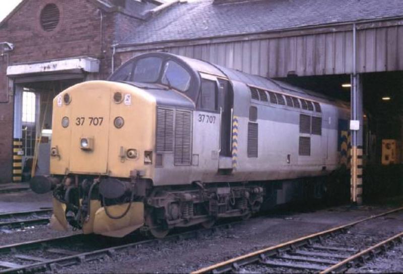 37707 at Grangemouth Shed: 37707 at Grangemouth Shed, when it, and it's sister 37708 were on loan from Immingham. Photo of 37707 at Grangemouth Shed