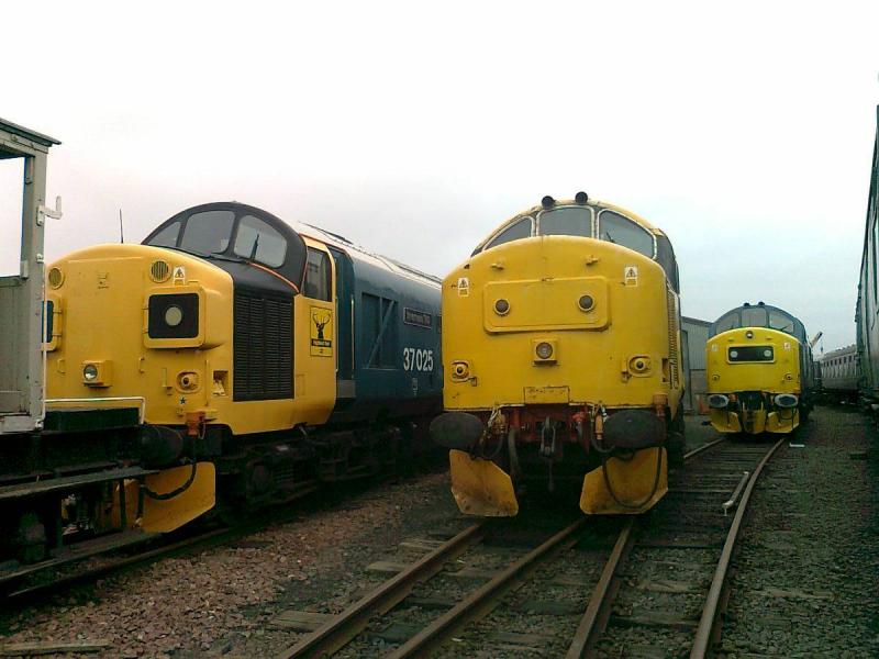 Bo'ness Tractors: 37025, 37906 & 37175 form an impressive line up at Bo'ness on 3rd March 2011. Photo of Bo'ness Tractors