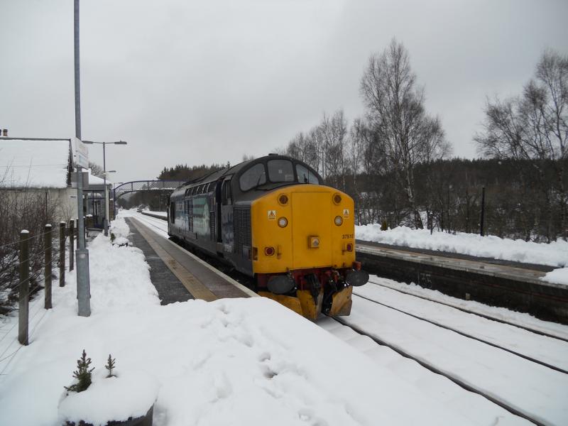 37510 1Z99 Carrbridge: 37510 at Carrbridge on a 1Z99 Perth Inverness working. Photo of 37510 1Z99 Carrbridge