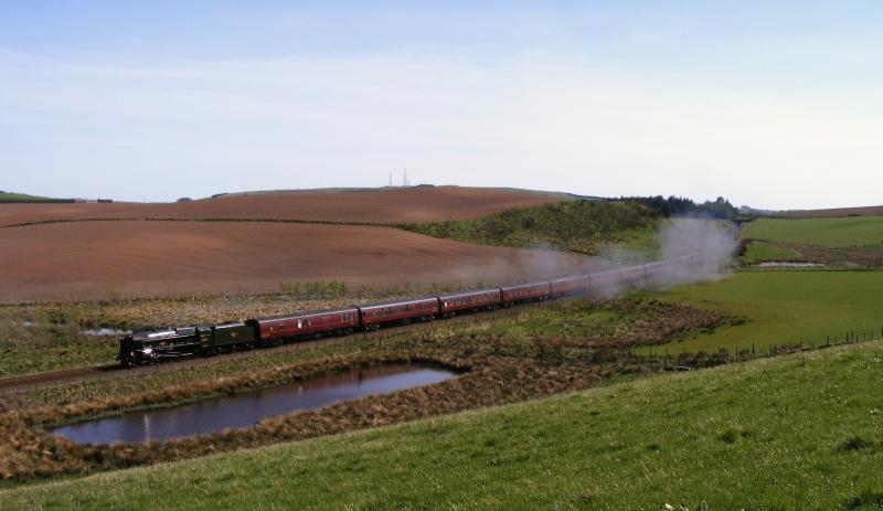 46115 Carmont: 46115 heads north at Carmont with 1Z28 Edinburgh - Inverness portion of the GB4 railtour. Photo of 46115 Carmont
