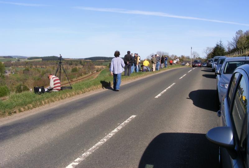 Vegetation: Looooots of people at Oyne, waiting on 46115 Photo of Vegetation