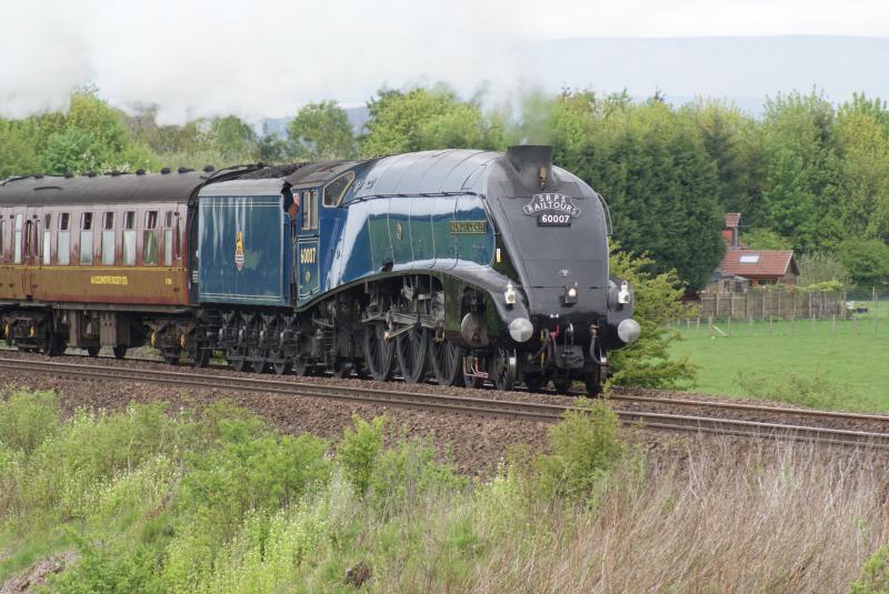 60007 Sir Nigel Gresley: Morning SRPS Fife Circle Railtour passing Bannockburn 24 April 2011 Photo of 60007 Sir Nigel Gresley