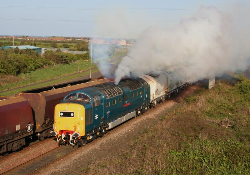 55022 6N69 Freemans: 55022 powers away from Freemans in style (completely obliterating the waiting DBS 66!) while working 6N69 17:54 North Blyth to Lynemouth loaded Alumina tanks on 27th April 2011 Photo of 55022 6N69 Freemans