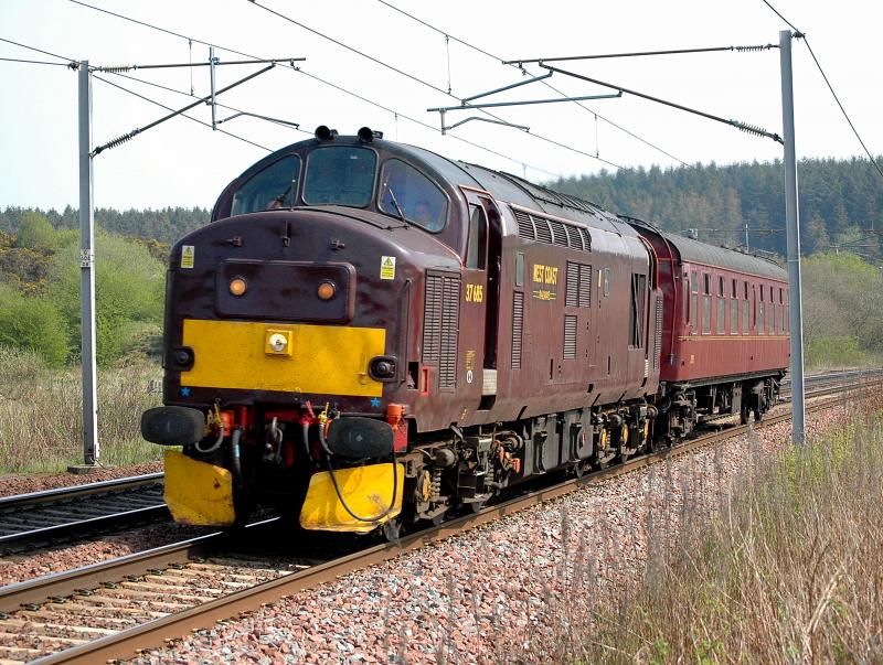 37685 heads north at Cartland on Good Friday 2011.: Photo of 37685 heads north at Cartland on Good Friday 2011.