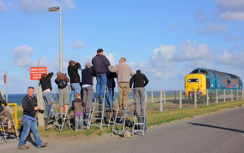 Photo of Step Ladder Veg