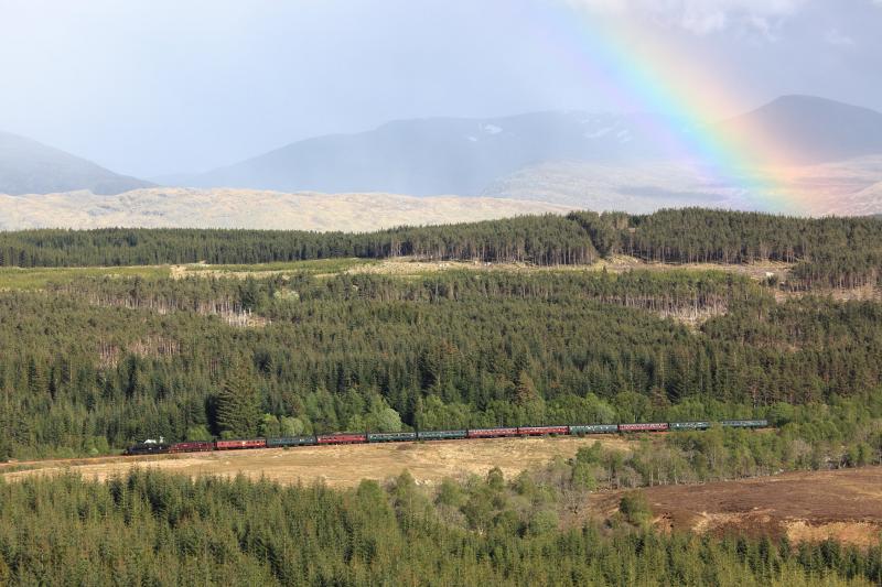 Cathedrals Explorer near Tulloch: The Cathedrals Explorer, headed by 61994 and 37 676, on the approach to Tulloch. 8/5/11 Photo of Cathedrals Explorer near Tulloch