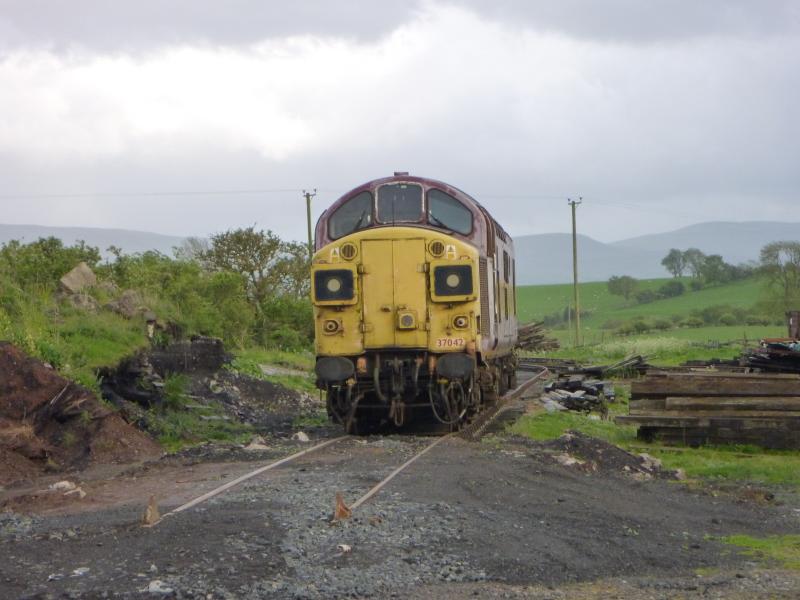 37042 at Eden Valley: Newly acquired 37042 at the Eden Valley railway in Warcop, Cumbria. Photo of 37042 at Eden Valley