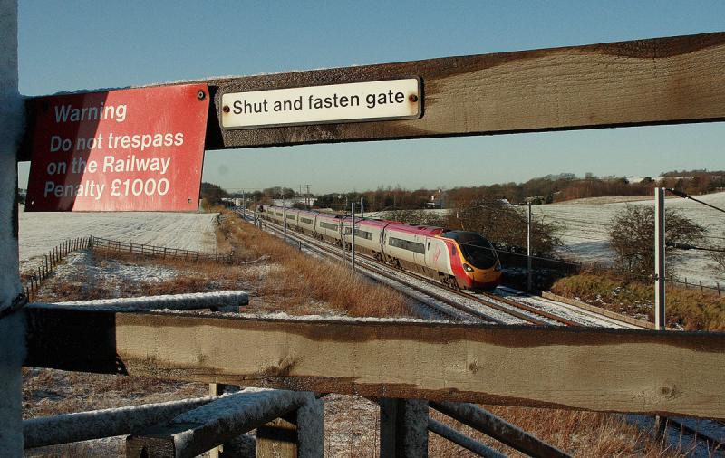 Pendolino Premonition: Photo of Pendolino Premonition