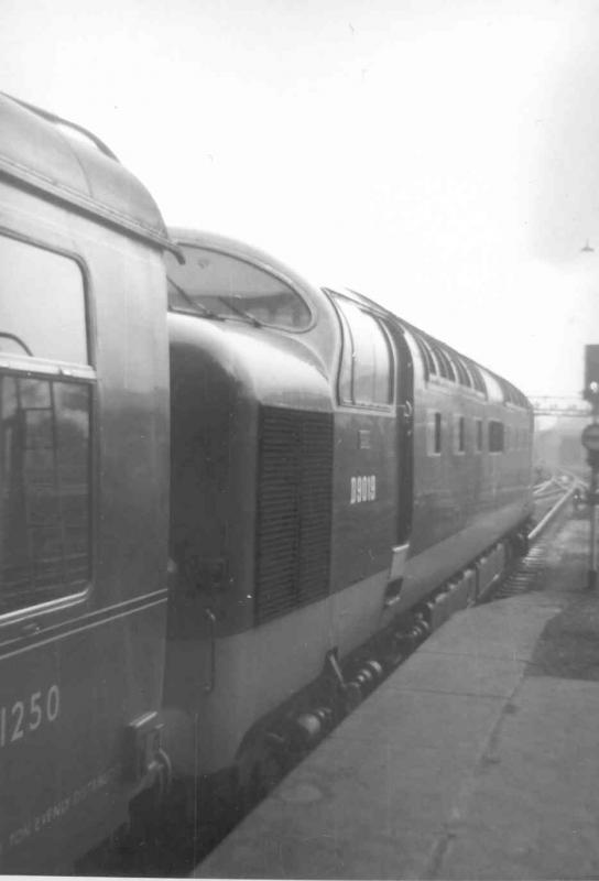 D9019 at Waverley: In April 1963 ready to depart with the Heart of Midlothian 1.30pm to Kings Cross. Photo of D9019 at Waverley