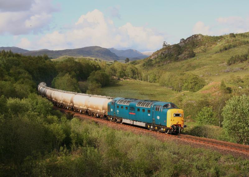 55022 6E45 Glen Falloch:
55022 passes Glen Falloch working 6E45 Fort William to North Blyth (as far as Mossend) on 30th May 2011
Photo of 55022 6E45 Glen Falloch