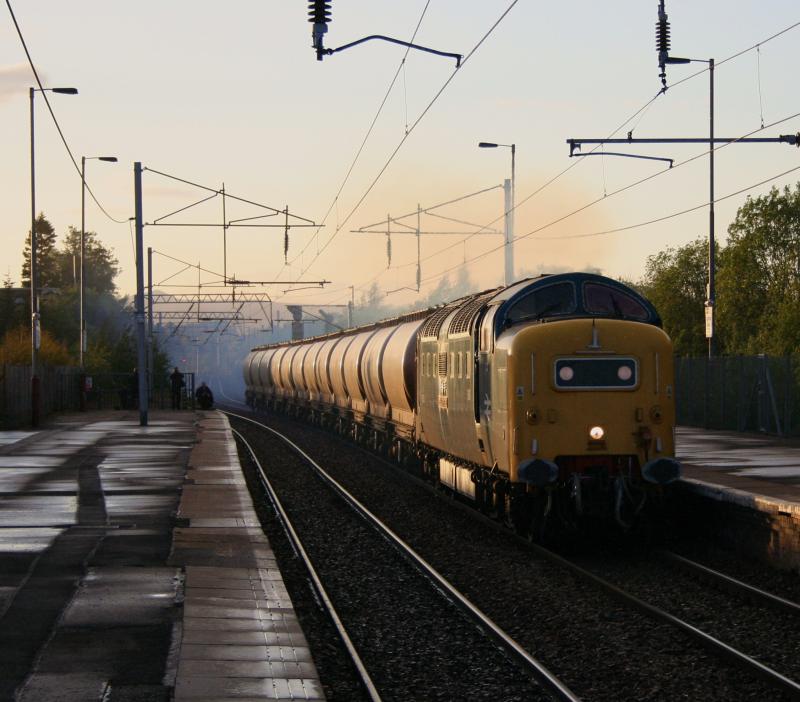 55022 6E45 Coatbridge Central:
55022 passes Coatbridge Central on the last leg of it's memorable journey, working 6E45 Fort William to North Blyth (as far as Mossend) on 30th May 2011
Photo of 55022 6E45 Coatbridge Central