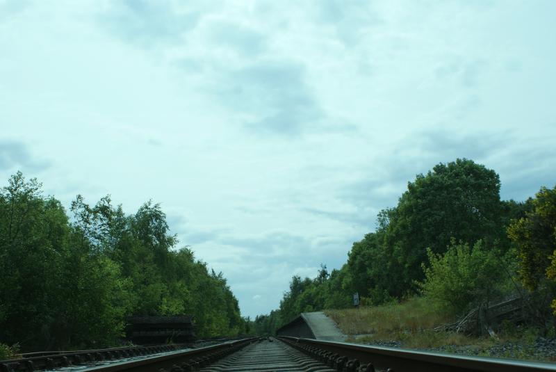 Cat's Eye View: An unusual view that a cat would presumably see on the Bo'ness & Kinneil Railway in West Lothian , whilst crossing the rails at Kinneil Halt Photo of Cat's Eye View