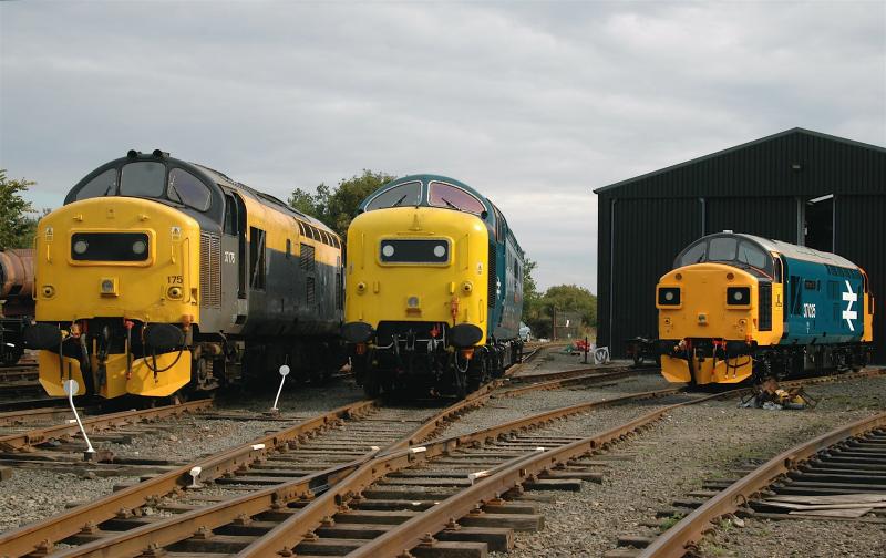 The Big Boys come out to play.: 37175,55022 & 37025 Outside Bo'Ness Diesel Shed waiting for their next duty on 30th September 2007. Photo of The Big Boys come out to play.