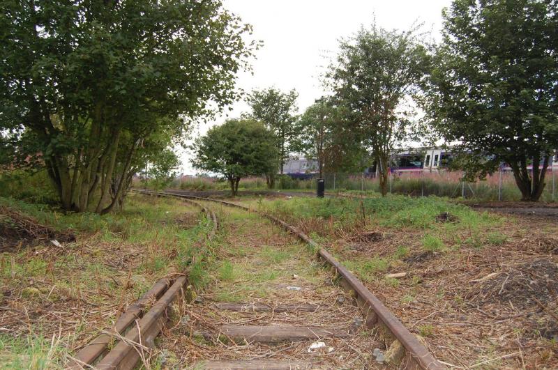 Leuchars 1: A view looking towards the mainline from the former MOD siding at Leuchars. This area has had a recent tidy up & installation of a path thoughout the small area which I would imagine will be left as a small wildlife area. Photo of Leuchars 1
