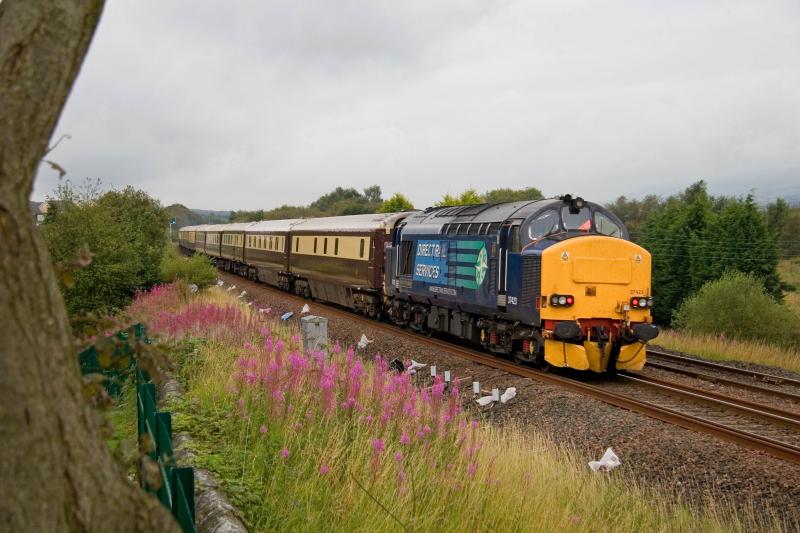 37423 on rear of 1Z28 Northern Belle to Oban: Up the tree to the left of the picture in order to nab a picture of the three class 37s heading to Oban, with 37423 bringing up the rear passing Greenhill Photo of 37423 on rear of 1Z28 Northern Belle to Oban