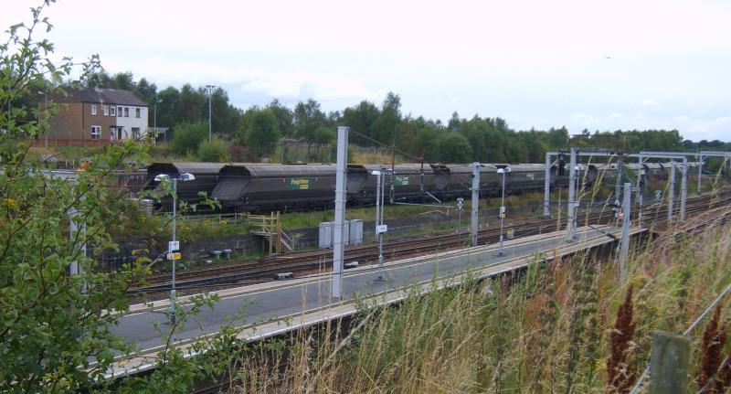CRSTSDSFL: Two Rakes of HHAs at Carstairs over the weekend 3rd/4th September. Photo of CRSTSDSFL